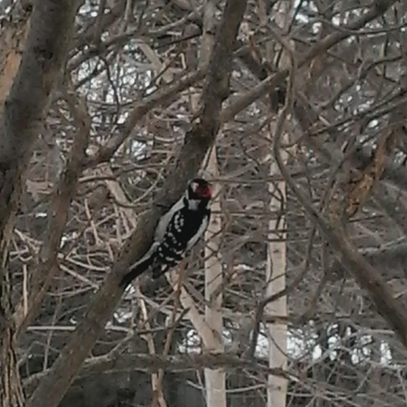 Meet your Posher, April - Picture 1 of 1